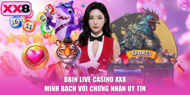 BBIN Live Casino XX8 minh bạch với chứng nhận uy tín
