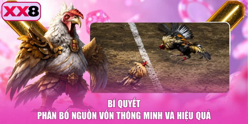 Bí quyết phân bổ nguồn vốn thông minh và hiệu quả