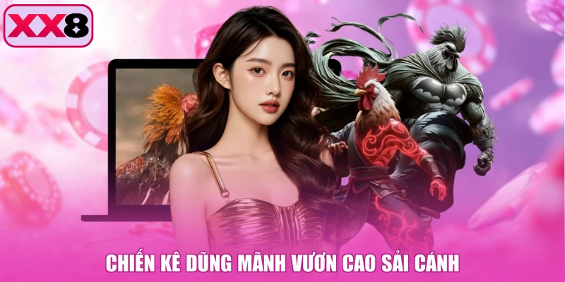 Chiến kê dũng mãnh vươn cao sải cánh