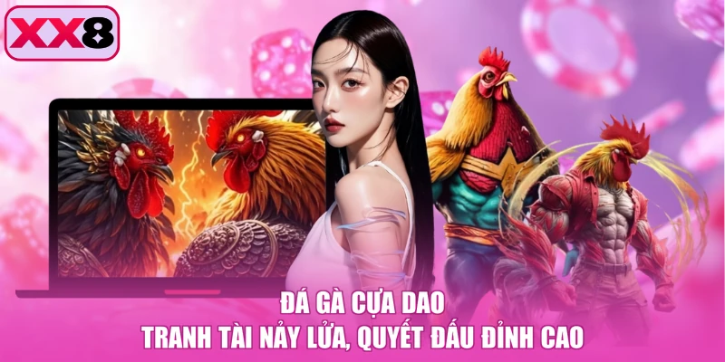Đá Gà Cựa Dao - Tranh Tài Nảy Lửa, Quyết Đấu Đỉnh Cao