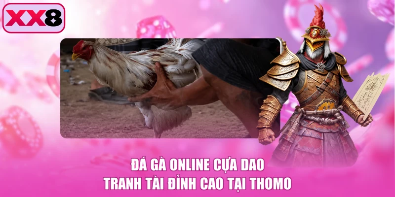 Đá gà online cựa dao tranh tài đỉnh cao tại Thomo