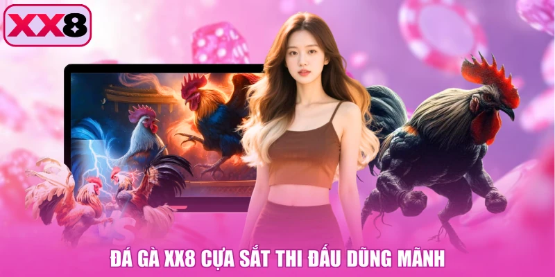 Đá gà XX8 cựa sắt thi đấu dũng mãnh