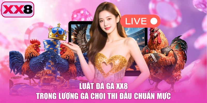 Luật đá gà XX8 trọng lượng gà chọi thi đấu chuẩn mực