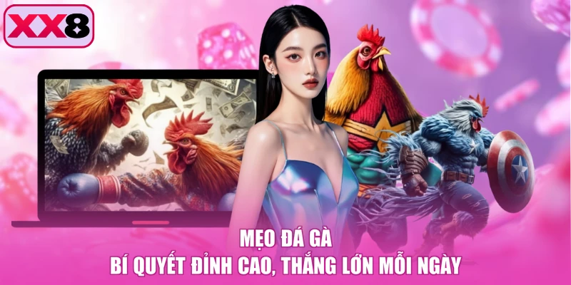 Mẹo Đá Gà - Bí Quyết Đỉnh Cao, Thắng Lớn Mỗi Ngày