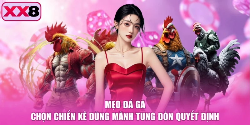 Mẹo đá gà chọn chiến kê dũng mãnh tung đòn quyết định