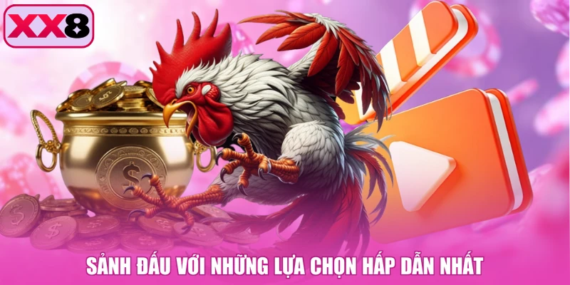 Sảnh đấu với những lựa chọn hấp dẫn nhất