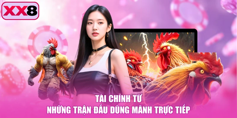 Tài chính từ những trận đấu dũng mãnh trực tiếp